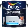 EASYCARE + KOPALNIA SREBRA 2.5L Farba kolorowa do wnętrz Nowy Sącz