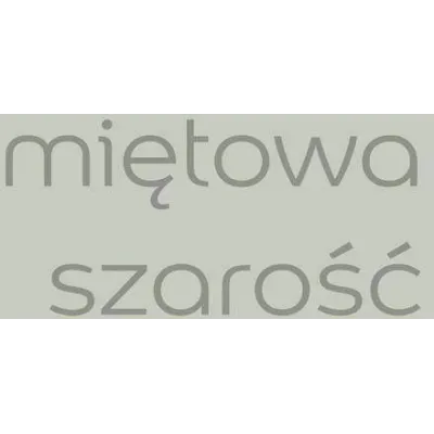 EASYCARE + MIĘTOWA SZAROŚĆ 2.5L