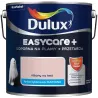 EASYCARE + RÓŻANY NA TEST 2.5L Farba kolorowa do wnętrz Nowy Sącz