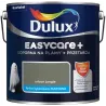 EASYCARE + URBAN JUNGLE 2.5L Farba kolorowa do wnętrz Nowy Sącz