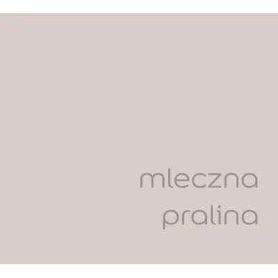 EASYCARE MLECZNA PRALINA 2.5L