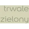 EASYCARE TRWALE ZIELONY 2.5L Farba kolorowa do wnętrz Nowy Sącz