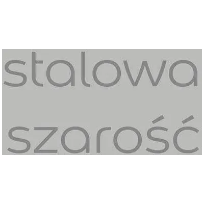 EASYCARE STALOWA SZAROŚĆ 2.5L