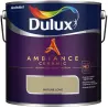 AMBIANCE CERAMIC NATURE LOVE 2.5L Farba kolorowa do wnętrz Nowy Sącz