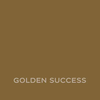AMBIANCE CERAMIC GOLDEN SUCCESS 2.5L