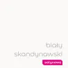 EASYCARE KUCHNIA ŁAZIENKA SATYNOWA BIAŁY SKANDYNAWSKI 2.5L Farba kolorowa do wnętrz Nowy Sącz