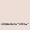 EASYCARE DISNEY KSIĘŻNICZKOWY RÓŻOWY 2.5L Farba kolorowa do wnętrz Nowy Sącz