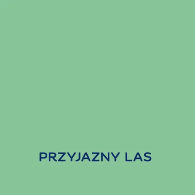 EASYCARE DISNEY PRZYJAZNY LAS 1L Farba kolorowa do wnętrz Nowy Sącz
