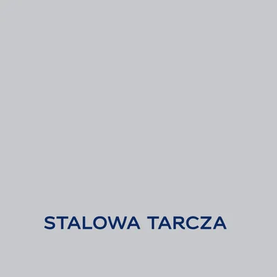 EASYCARE DISNEY STALOWA TARCZA 2.5L Farba kolorowa do wnętrz Nowy Sącz
