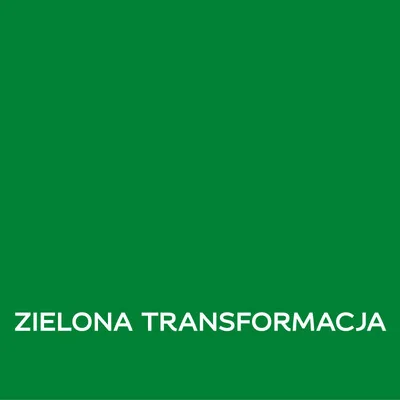 EASYCARE DISNEY ZIELONA TRANSFORMA 1L Farba kolorowa do wnętrz Nowy Sącz
