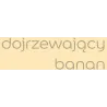 KOLORY ŚWIATA DOJRZEWAJĄCY BANAN 5L Farba kolorowa do wnętrz Nowy Sącz KOLORY ŚWIATA DOJRZEWAJĄCY BANAN 5L Farba kolorowa do wnętrz Nowy Sącz