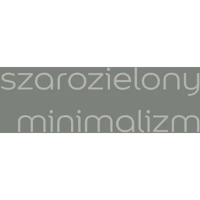 EASYCARE SZAROZIELONY MINIMALIZM 2.5L