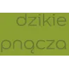 KOLORY ŚWIATA DZIKIE PNĄCZA 5L Farba kolorowa do wnętrz Nowy Sącz