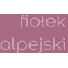 KOLORY ŚWIATA FIOŁEK ALPEJSKI 2.5L Farba kolorowa do wnętrz Nowy Sącz
