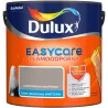 EASYCARE CZEKOLADOWA PERFEKCJA 2.5L Farba kolorowa do wnętrz Nowy Sącz