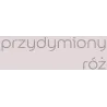TESTER EASYCARE + PRZYDYMIONY RÓŻ Farba kolorowa do wnętrz Nowy Sącz