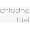 TESTER CHŁODNA BIEL KOLORY ŚWIATA Testery farb Nowy Sącz