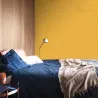 TESTER EGZOTYCZNE CURRY KOLORY ŚWIATA Testery farb Nowy Sącz
