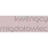 TESTER KWITNĄCY MIGDAŁOWIEC KOLORY ŚWIATA Testery farb Nowy Sącz