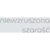 EASYCARE NIEWZRUSZONA SZAROŚĆ 2.5L Farba kolorowa do wnętrz Nowy Sącz