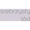 TESTER SREBRZYSTY LÓD KOLORY ŚWIATA Testery farb Nowy Sącz TESTER SREBRZYSTY LÓD KOLORY ŚWIATA Testery farb Nowy Sącz