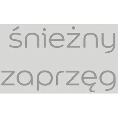 TESTER ŚNIEŻNY ZAPRZĘG KOLORY ŚWIATA Testery farb Nowy Sącz